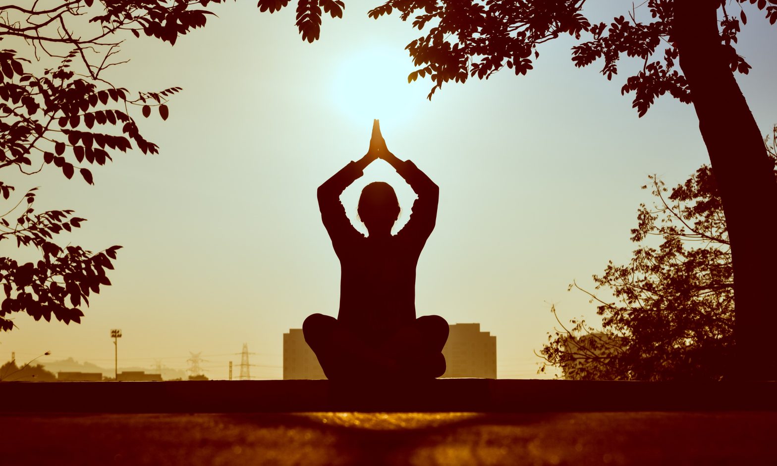 Yoga for Beginners
